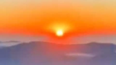 白烛:点亮记忆的光芒,温暖心灵的寄托(图3) 烛白色_烛白鸩_白烛