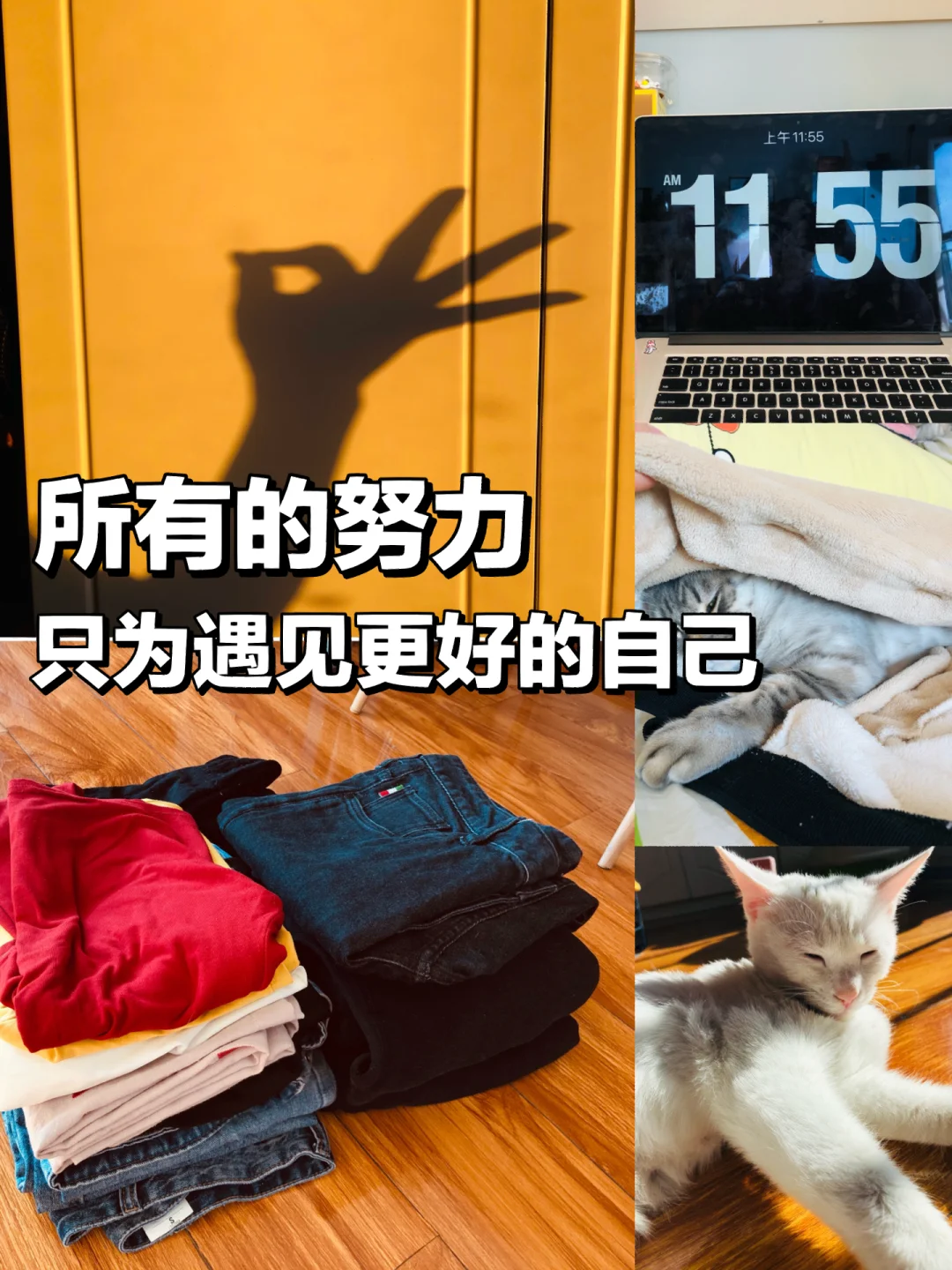泉源堂_泉源_泉源和源泉的区别