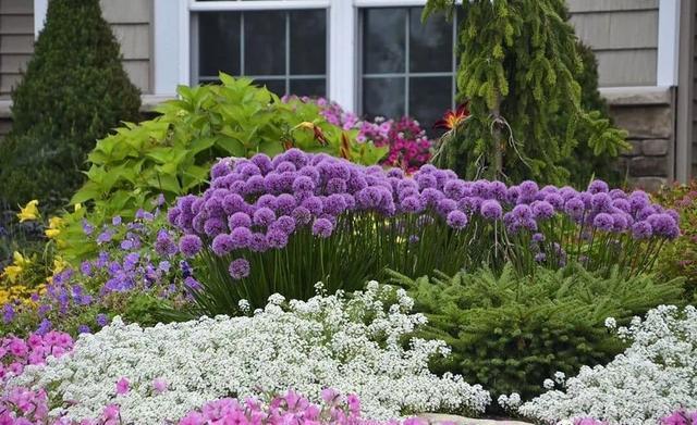 那朵花剧场版_剧场版是什么意思啊_剧场原版