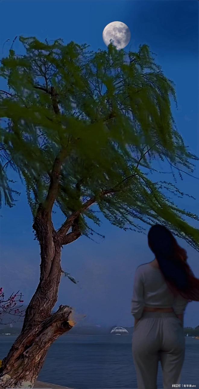 月清疏_月清疏_月清疏