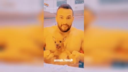 嘻哈哈手机游戏:让你笑到肚子疼的轻松娱乐之选(图1) 嘻哈游戏网_嘻哈手机游戏有哪些_嘻哈哈手机游戏