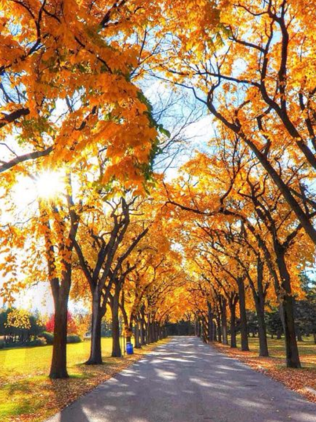 玩游戏如何分辨手机版本-玩游戏时,你的手机如何悄悄暴露它的底细?(图1) 怎么看手机游戏分辨率_玩游戏如何分辨手机版本_分辨版本玩手机游戏会卡吗