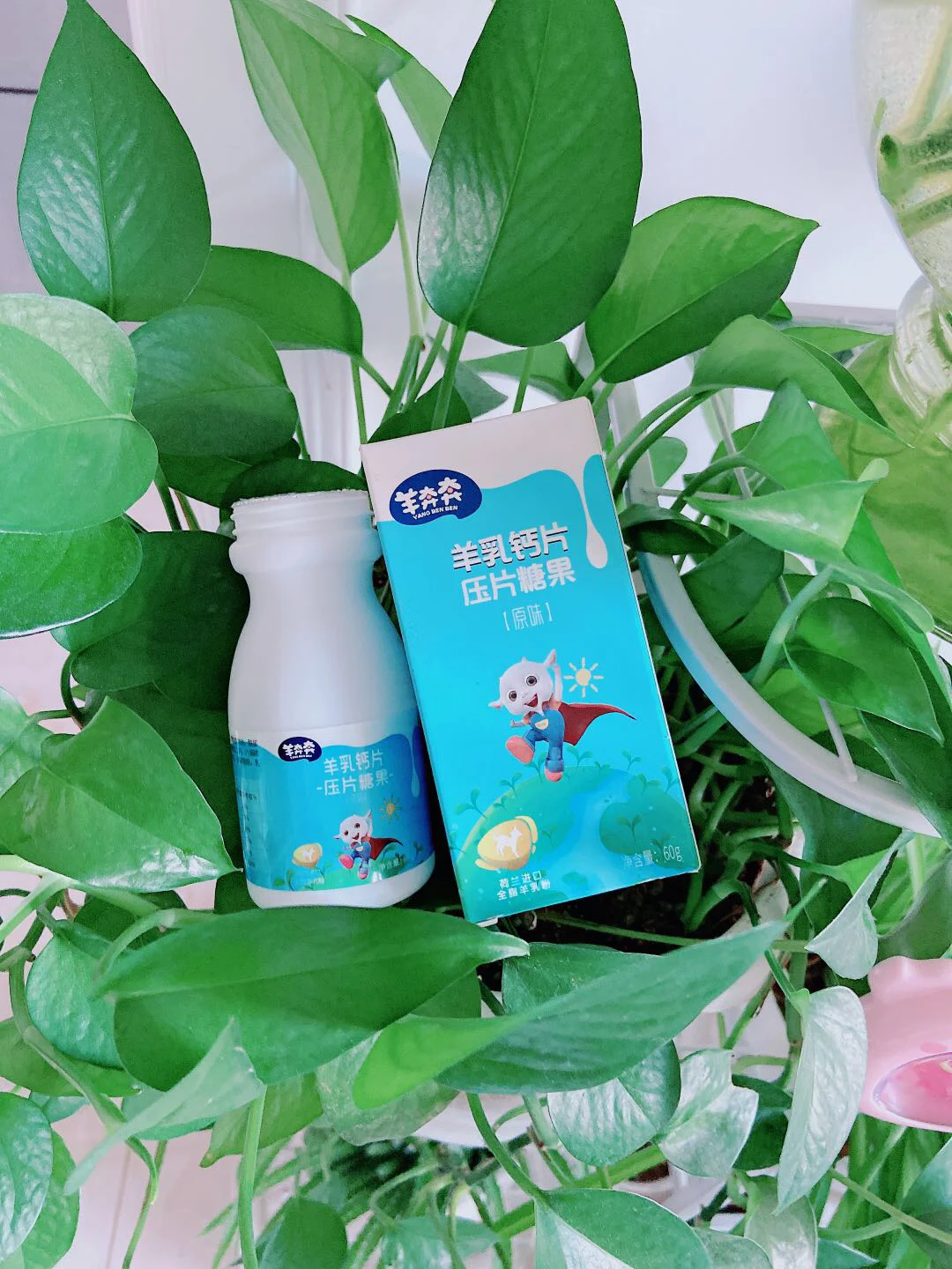 聚生网管手机版_聚生网管安卓_聚生网管软件