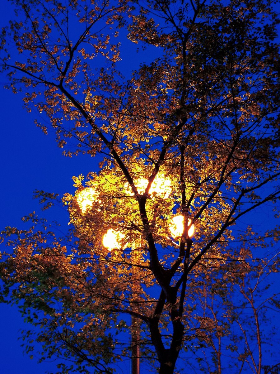 赫卡:夜的神秘精灵,孤独与寂寞的象征,情感的指引灯(图3) 赫卡提亚_赫卡_赫卡忒