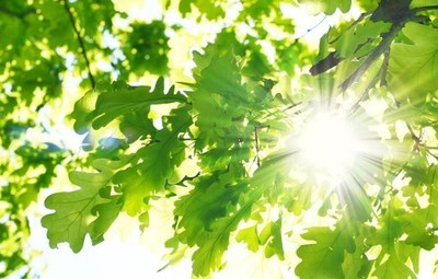 西原久美子的歌声:温暖心灵的阳光,照亮孤独夜晚(图3) 原久美子衣服好吗_西原久美子_美原咲子torrent