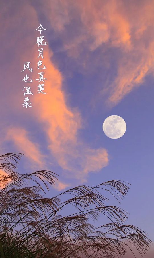 华扇_华扇_华扇