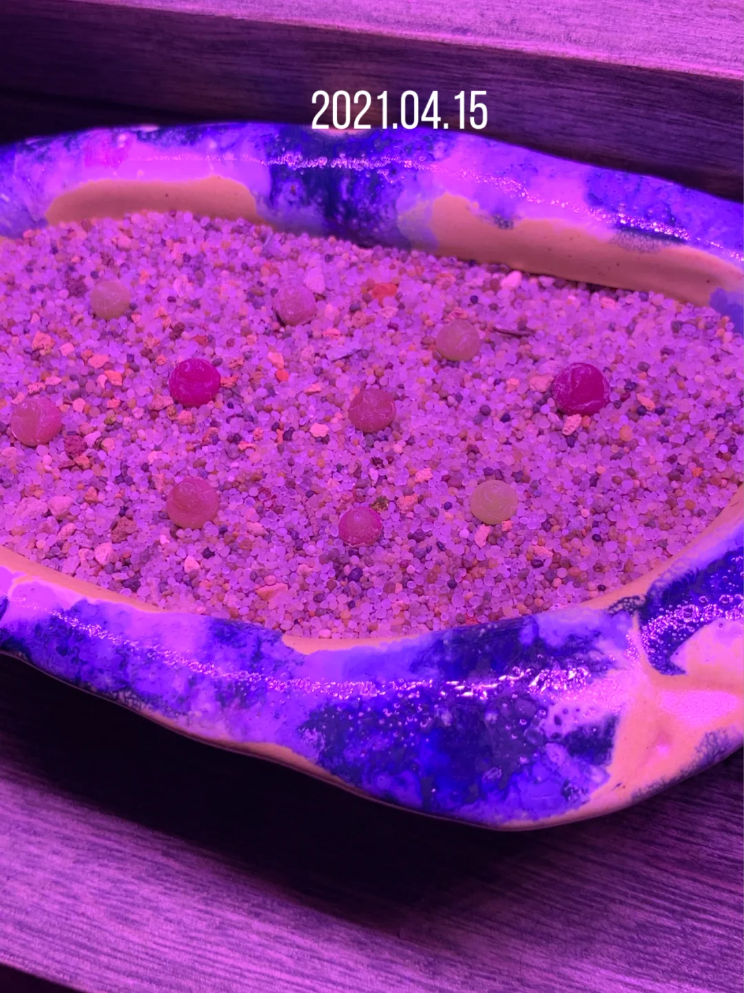 视频自制手机游戏教程_视频自制手机游戏怎么做_自制手机游戏视频