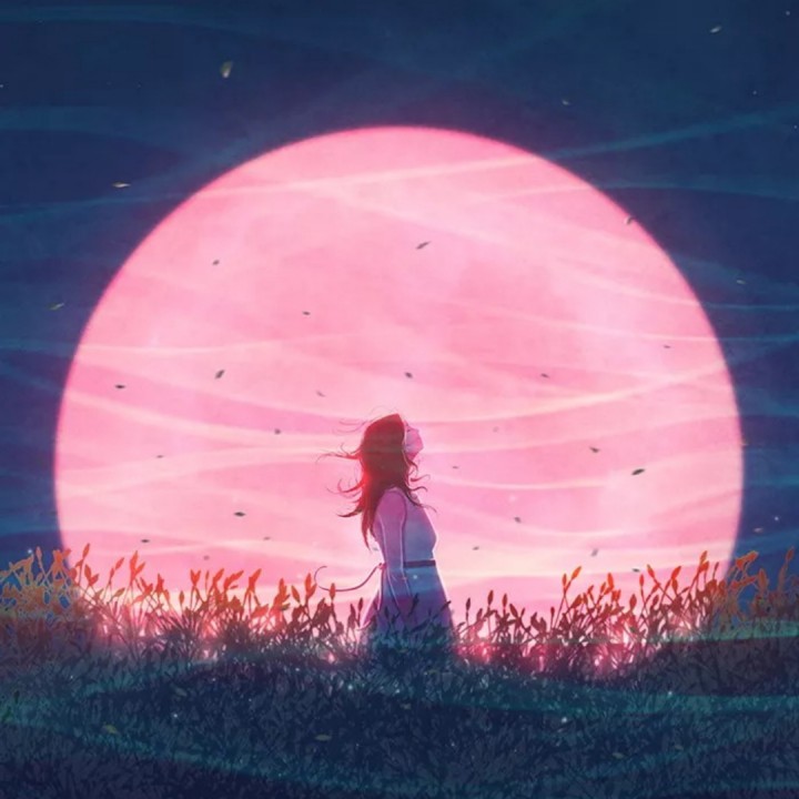 可儿江西也:青春里绚烂而哀愁的色彩,才华歌声背后的孤独与无奈(图4) 可儿江西也_可尔江西也_可儿江西也帅图