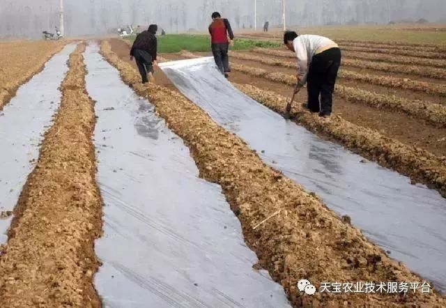 下载农技推广_推广农技知识_农技推广app