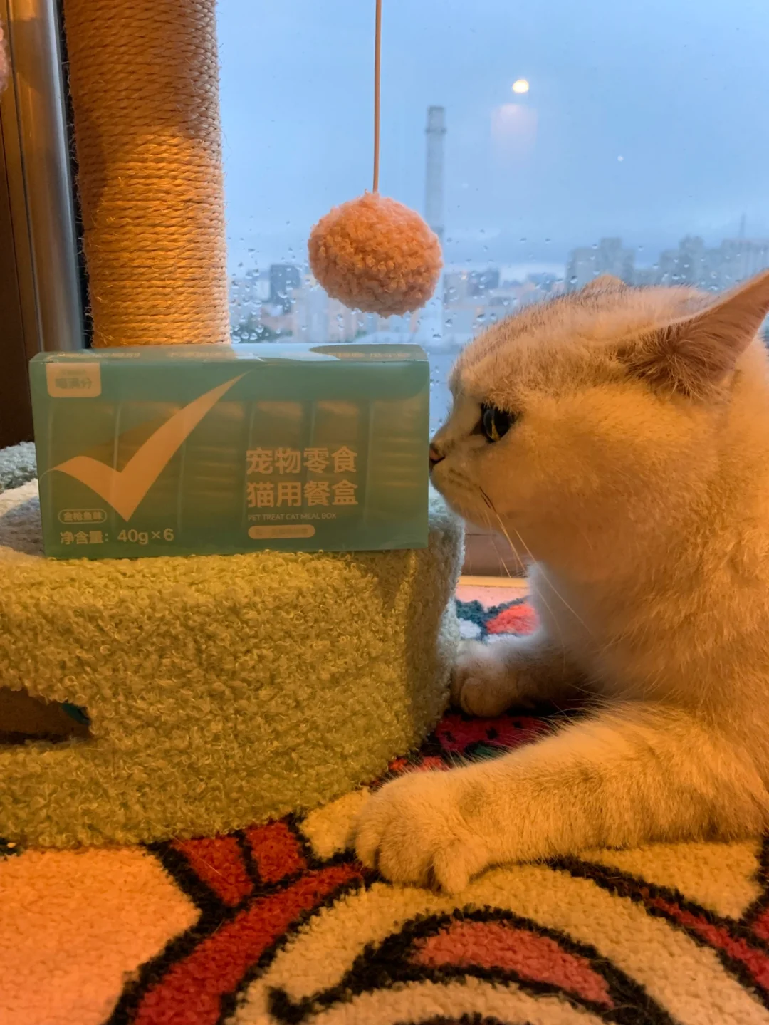 养乌龟的小游戏_养乌龟手机游戏_乌龟养成游戏