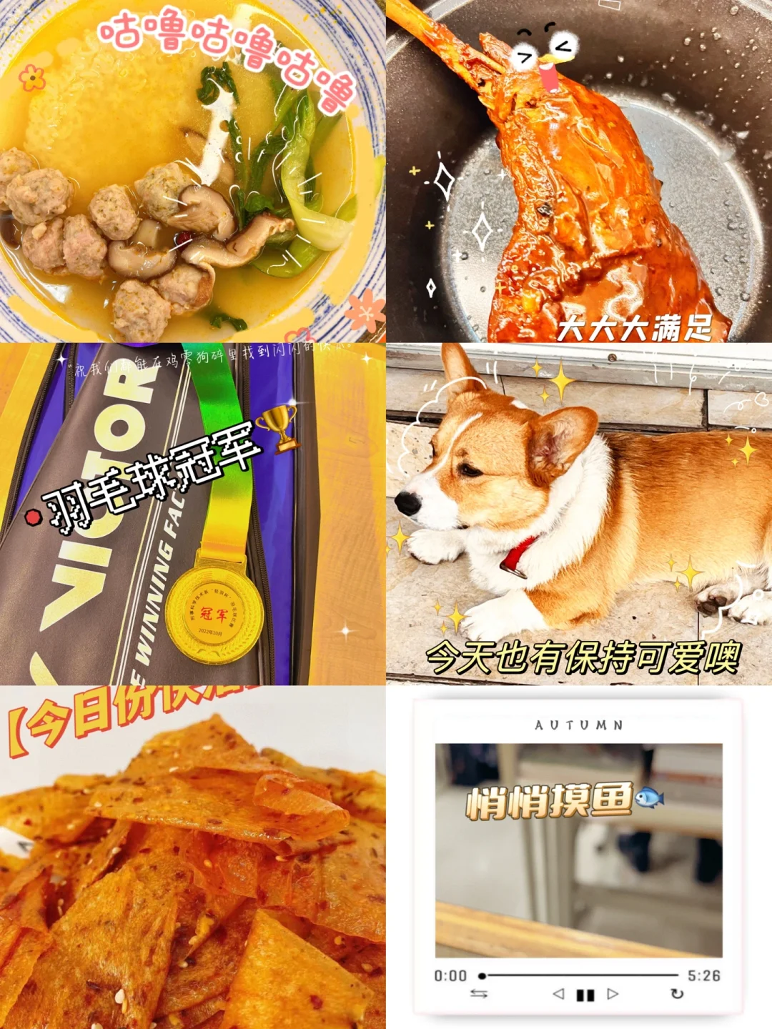 养乌龟的小游戏_养乌龟手机游戏_乌龟养成游戏
