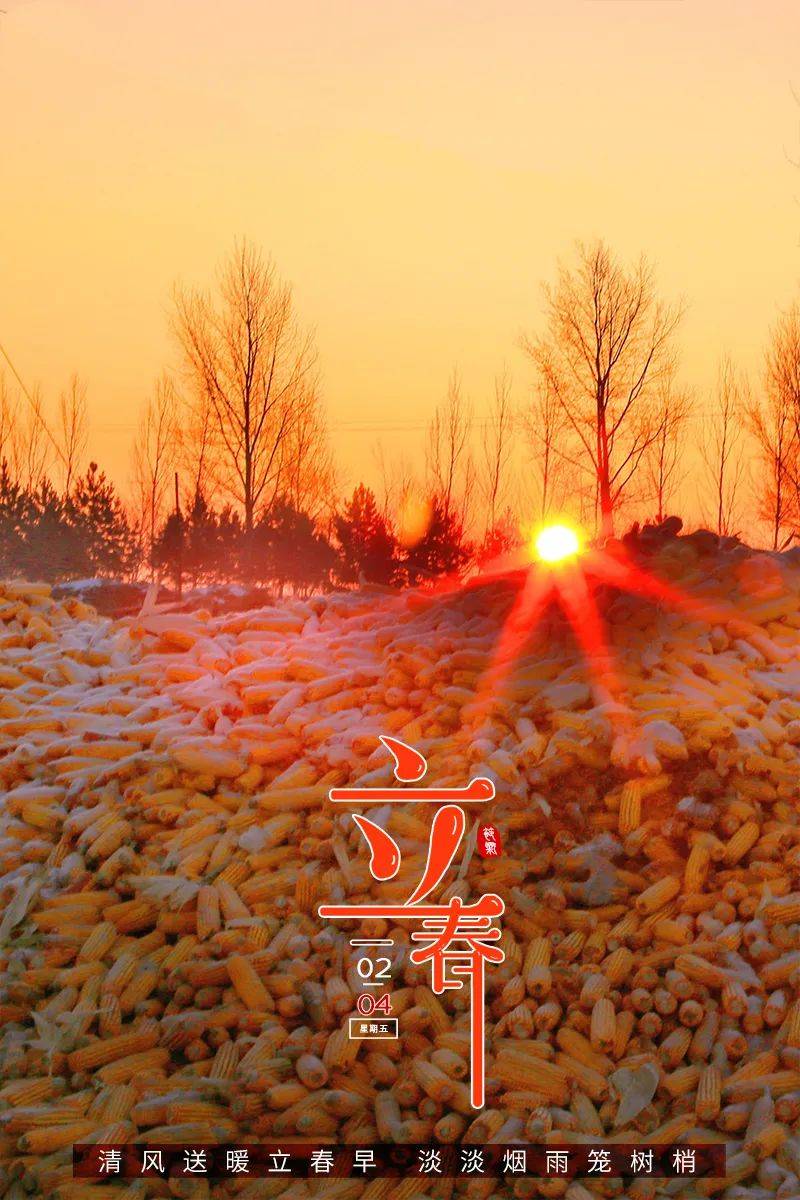 三候_候鸟有哪些_候鸟为什么要迁徙