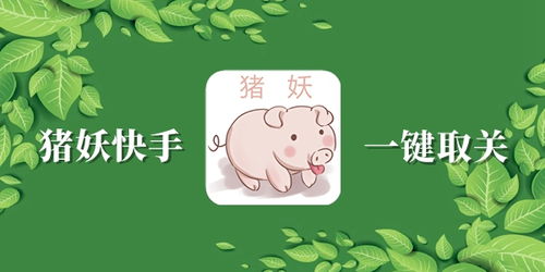 快手安卓版(图3) 快手安卓版(图3)