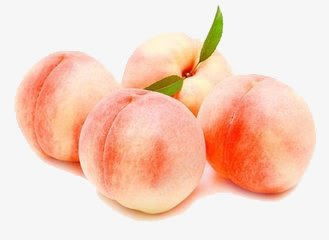 水蜜桃网(图1) 水蜜桃网(图1)