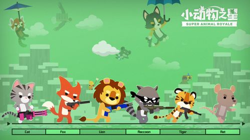 小动物之星(图2) 小动物之星(图2)