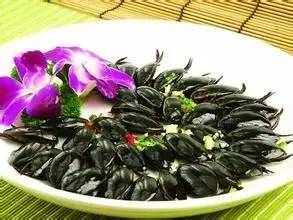 怎么样才能不当社畜:妻子的故事 (图3) 怎么样才能不当社畜:妻子的故事 (图3)