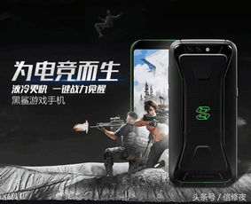 价格打下来 (图1) 价格打下来 (图1)