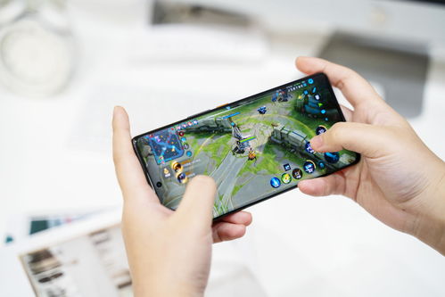 冬日狂想曲2.0完整汉化版安卓直装版 (图2)