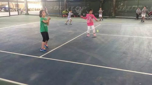 儿童网球游戏,技能提升的乐园(图3) 儿童网球游戏,技能提升的乐园(图3)