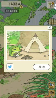 青蛙旅行朋友 (图2) 青蛙旅行朋友 (图2)