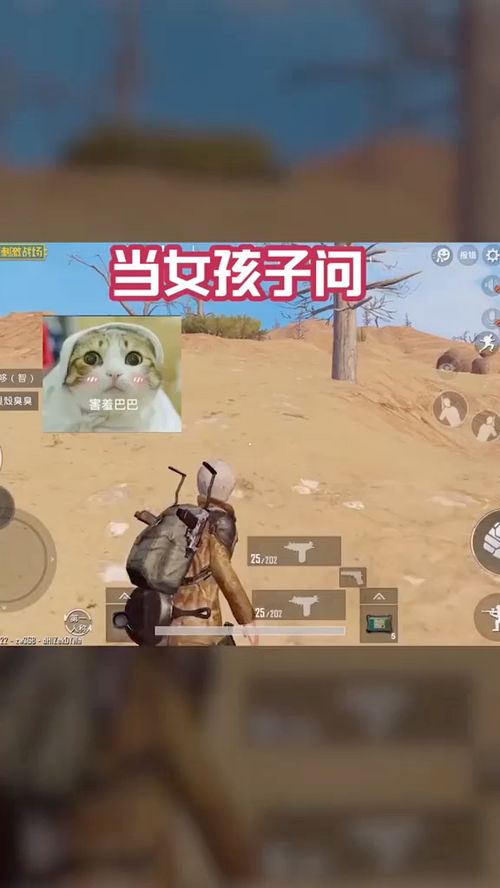 要游戏还是要我,体验与策略的完美融合(图2) 要游戏还是要我,体验与策略的完美融合(图2)