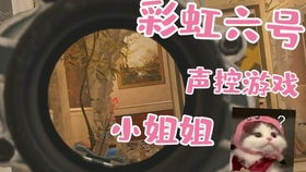 声控游戏视频搞笑,搞笑视频带你领略声音的魅力(图2) 声控游戏视频搞笑,搞笑视频带你领略声音的魅力(图2)