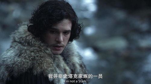 权利的游戏 琼恩,琼恩·雪诺的传奇与命运(图2) 权利的游戏 琼恩,琼恩·雪诺的传奇与命运(图2)