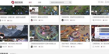 游戏直播禁令,多款游戏直播禁令解析(图3) 游戏直播禁令,多款游戏直播禁令解析(图3)
