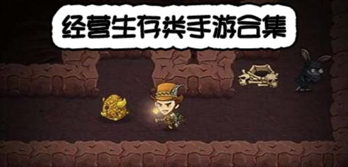 经营生存游戏,经营生存游戏全攻略解析(图1) 经营生存游戏,经营生存游戏全攻略解析(图1)