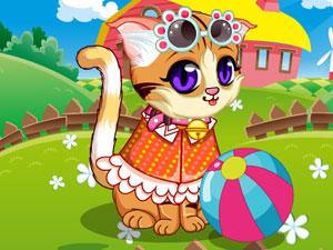 波斯猫游戏,探寻经典美短品种的优雅与魅力(图3) 波斯猫游戏,探寻经典美短品种的优雅与魅力(图3)