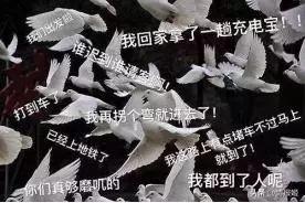 放鸽子游戏,揭秘“放鸽子”游戏的趣味世界(图2) 放鸽子游戏,揭秘“放鸽子”游戏的趣味世界(图2)
