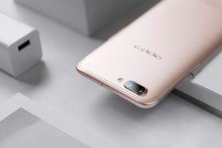 oppor11游戏,畅享王者荣耀新境界(图3)