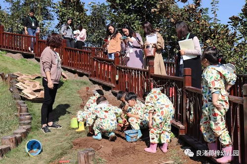 逛山园游戏,解锁寻宝解谜之旅(图1) 逛山园游戏,解锁寻宝解谜之旅(图1)