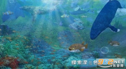 养金鱼的游戏,盘点热门养金鱼游戏体验(图3) 养金鱼的游戏,盘点热门养金鱼游戏体验(图3)