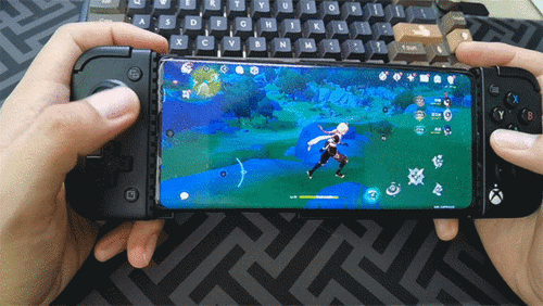 怀德花园switch游戏 (图3) 怀德花园switch游戏 (图3)