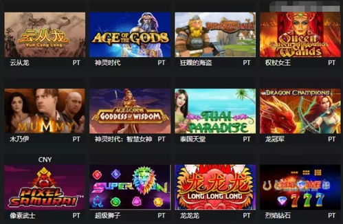 pt电子游戏技巧,独家技巧解析(图2) pt电子游戏技巧,独家技巧解析(图2)