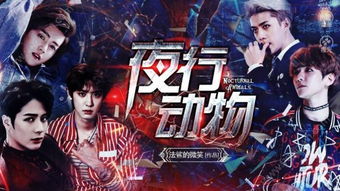 exo橙光免费游戏,免费橙光游戏中的偶像奇幻之旅(图2)