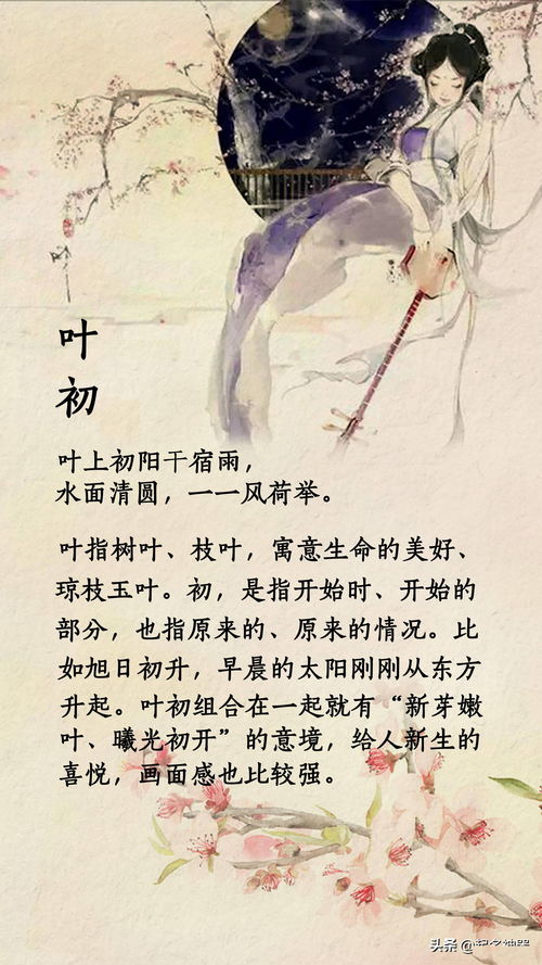 宋词游戏名,体验千年风华的词韵之旅(图2) 宋词游戏名,体验千年风华的词韵之旅(图2)