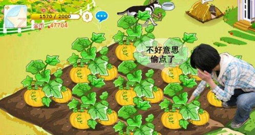 耕田游戏,传承农耕文化(图3)