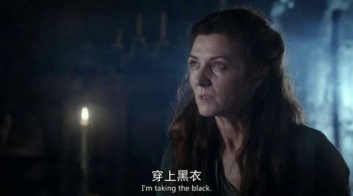 权利游戏演员介绍,传奇角色背后的精彩故事(图3) 权利游戏演员介绍,传奇角色背后的精彩故事(图3)