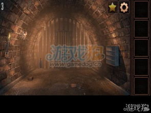 解密逃生游戏,勇闯生死关(图2)
