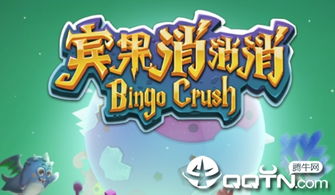 宾果的新游戏,开启欢乐新篇章(图3) 宾果的新游戏,开启欢乐新篇章(图3)