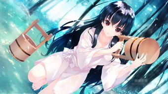 游戏少女神域,青春热血的奇幻冒险之旅(图2)