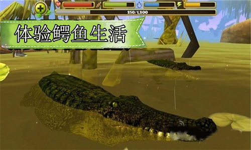 鳄鱼游戏了,惊险刺激的生存挑战之旅(图3) 鳄鱼游戏了,惊险刺激的生存挑战之旅(图3)