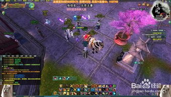 pvg游戏,探索虚拟世界的奇幻冒险之旅(图2)