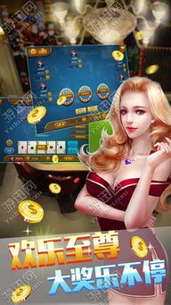 打牌网游戏大厅,打牌网游戏大厅带你领略竞技魅力(图3) 打牌网游戏大厅,打牌网游戏大厅带你领略竞技魅力(图3)