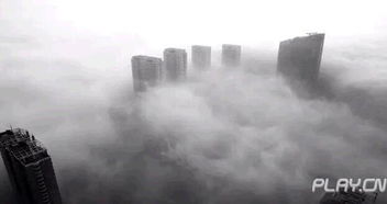 游戏 雾霾,迷雾重重的虚拟世界探险之旅(图2)