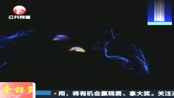 九九爱游戏,体验无限乐趣(图1)