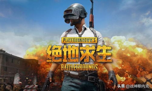 吃鸡是那个游戏,揭秘“吃鸡”游戏背后的传奇故事(图2) 吃鸡是那个游戏,揭秘“吃鸡”游戏背后的传奇故事(图2)