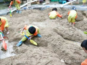 引水渠游戏,智慧灌溉的古代游戏之旅(图1)